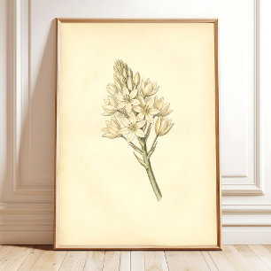 Vintage Botanical Art Print Wall Decor