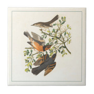 Vintage Botanical Bird Illustration Tile