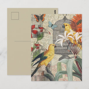 Vintage Botanical Bird Nature Antique Tropical  Postcard