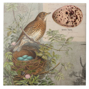 Vintage Botanical Bird Nest Robins Egg Blue Floral Tile