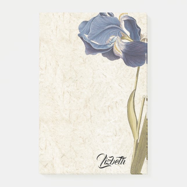 Vintage Botanical Blue Iris Flower Post It Notes (Front)