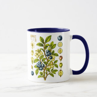 Vintage Botanical Blueberry Illustration Mug
