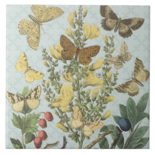 Vintage Botanical Butterflies...tile Tile