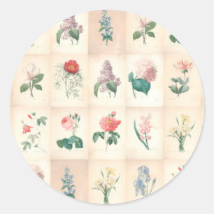 Vintage botanical by Redoute - Round stickers