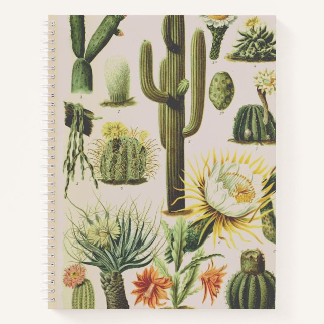 Vintage Botanical Cactus Illustration Notebook (Front)