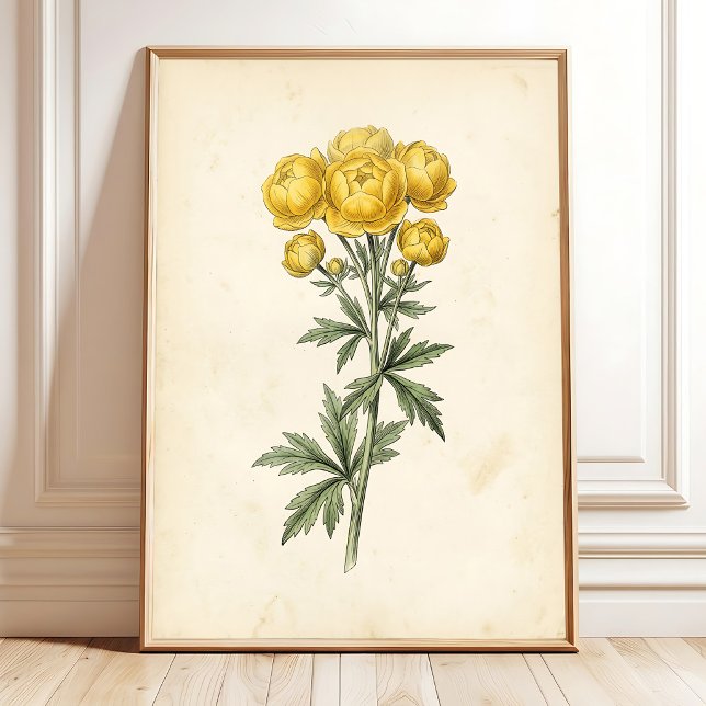 Vintage Botanical Canvas Wall Art Print (Creator Uploaded)