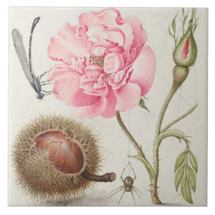 Vintage Botanical Ceramic Tile