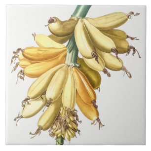 Vintage Botanical Ceramic Tile