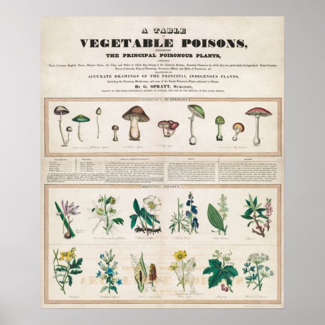 Vintage Botanical Chart (Front)