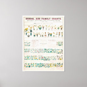 Vintage Botanical Chart: Classification of Plants Canvas Print