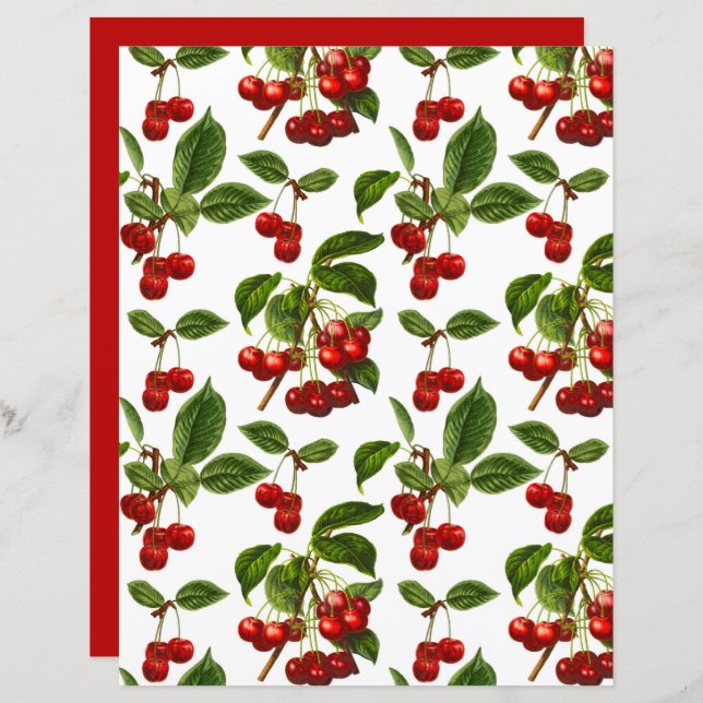 Vintage Botanical Cherries Print on White   (Front/Back)