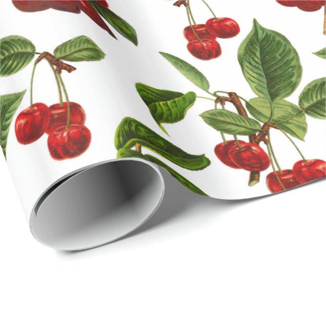 Vintage Botanical Cherries Print on White Wrapping Paper (Roll Corner)