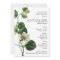 Vintage Botanical Chic Baby Shower Invitations