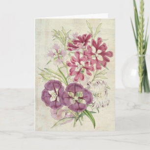 Vintage Botanical Clarkias Card