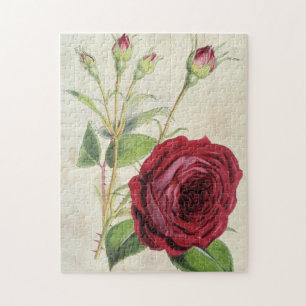 Vintage Botanical Comte de Falloux Rose Jigsaw Puzzle