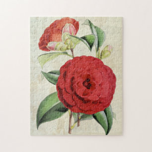 Vintage Botanical Crimson Camellia Jigsaw Puzzle