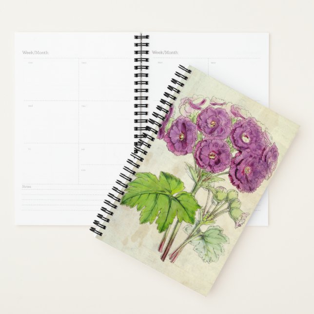 Vintage Botanical Double Fringed Chinese Primrose Planner (Display)