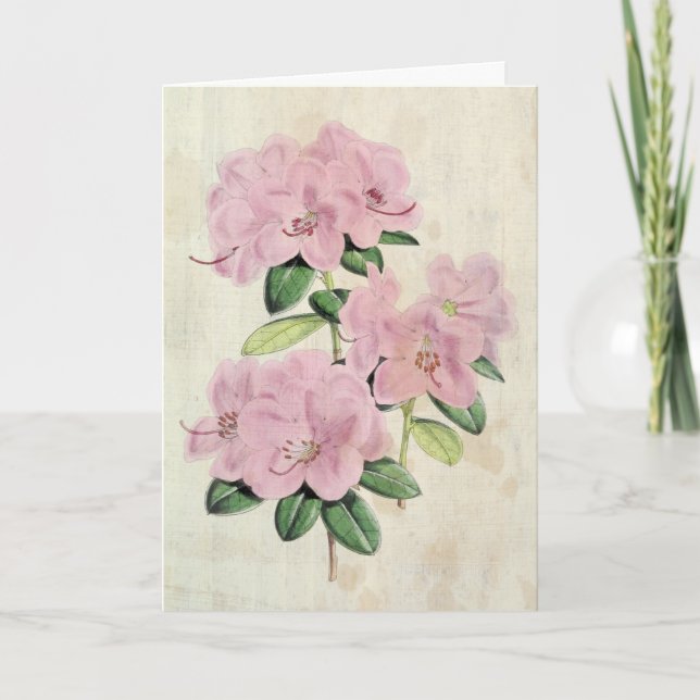 Vintage Botanical Early-Flowered Rhododendron Card (Front)
