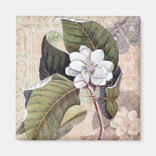 Vintage Botanical Elegant Southern Magnolia Magnet