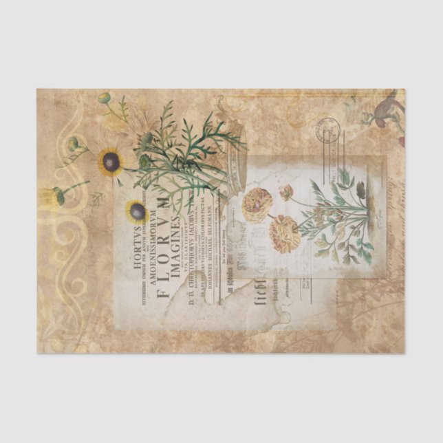 Vintage Botanical Ephemera Tissue Paper (Front)
