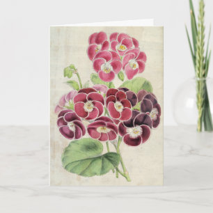 Vintage Botanical Fancy Pelargoniums Card