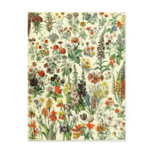 Vintage Botanical Fleurs  Postcard
