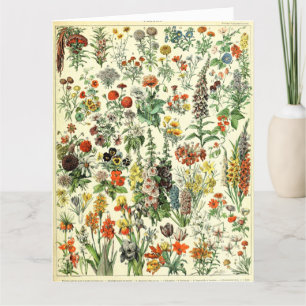 Vintage Botanical Fleurs Poster Postcard