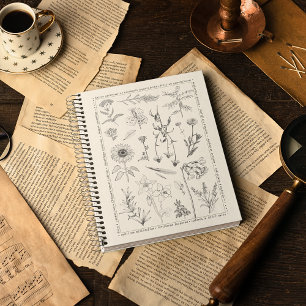 Vintage Botanical Flora Moth Hardcover Notebook
