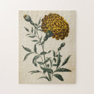 Vintage Botanical Floral African Marigold Jigsaw Puzzle