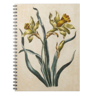 Vintage Botanical Floral Daffodil Illustration Notebook