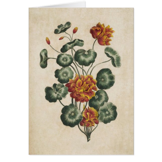 Vintage Botanical Floral Double Cresses (Front)