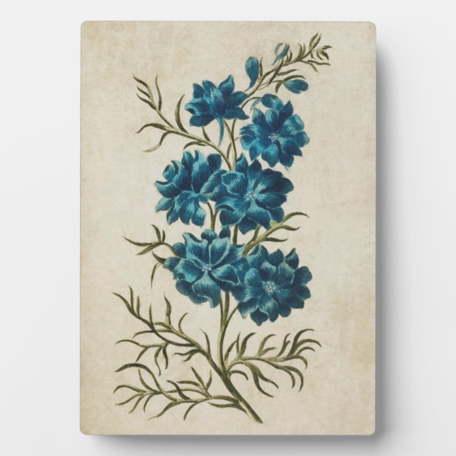 Vintage Botanical Floral Double Larkspur Plaque (Front)