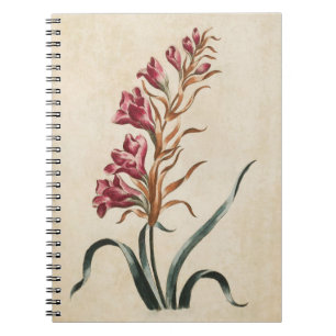 Vintage Botanical Floral Foxglove Illustration Notebook