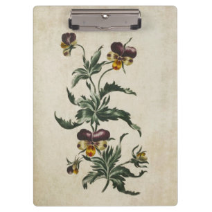 Vintage Botanical Floral Hearts Ease Illustration Clipboard