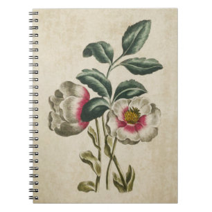Vintage Botanical Floral Hellebore Illustration Notebook