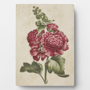 Vintage Botanical Floral Hollyhock Plaque
