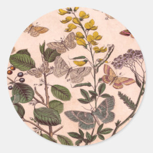 Vintage Botanical Floral Illustration Wildflowers Classic Round Sticker