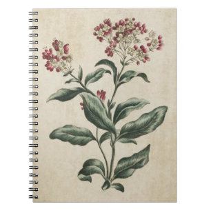 Vintage Botanical Floral Laurestina Illustration Notebook