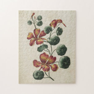 Vintage Botanical Floral Nasturtium Jigsaw Puzzle