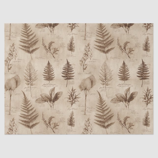 Vintage Botanical Floral Pattern (7) Tissue Paper (Front)