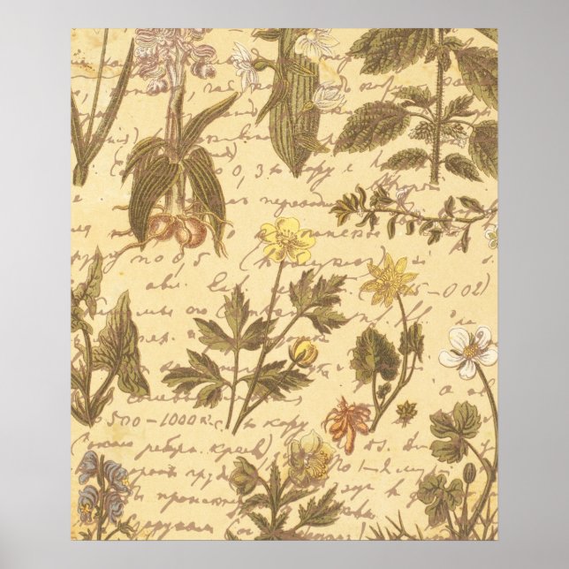 Vintage Botanical Floral Pattern Poster (Front)