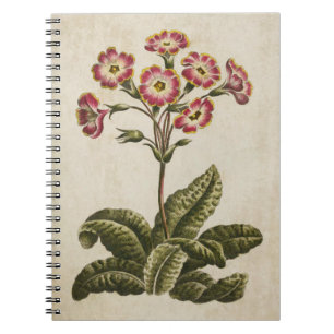 Vintage Botanical Floral Polianthus Illustration Notebook