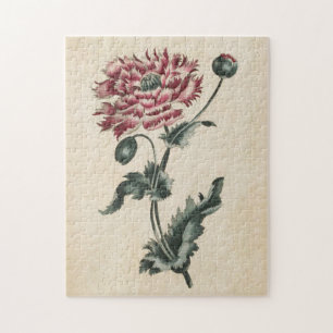 Vintage Botanical Floral Poppy Jigsaw Puzzle