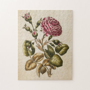 Vintage Botanical Floral Rose Jigsaw Puzzle