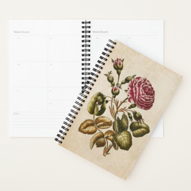 Vintage Botanical Floral Rose Planner (Display)