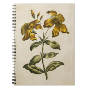 Vintage Botanical Floral St. John's Wort Notebook