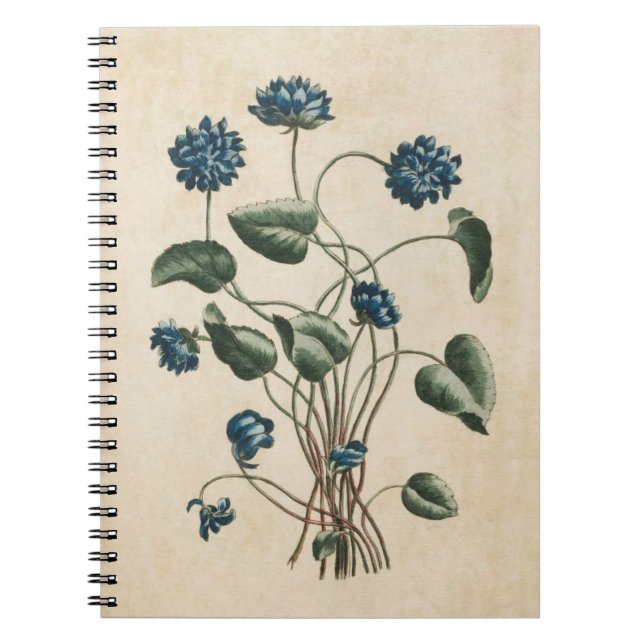 Vintage Botanical Floral Violets Illustration Notebook (Front)
