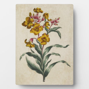 Vintage Botanical Floral Wall Flower Plaque