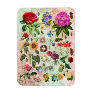 Vintage Botanical Flower illustrations Nature art Magnet
