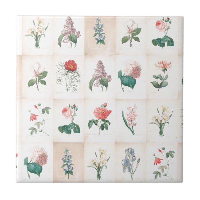Vintage botanical Flowers by Redoute Tile (Front)